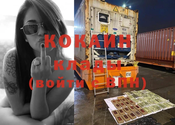 ГАЛЛЮЦИНОГЕННЫЕ ГРИБЫ Вязьма