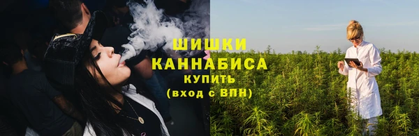 сатива Переславль-Залесский