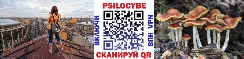 Галлюциногенные грибы прущие грибы  Зеленокумск 